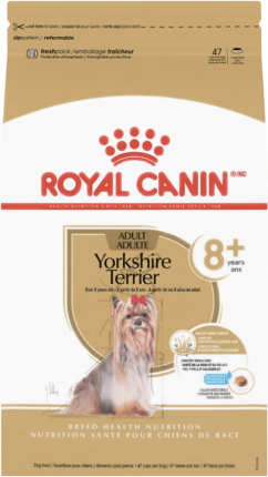 Yorkshire Terrier 8+